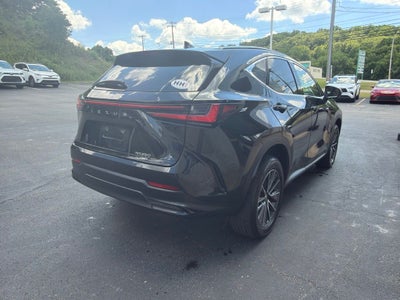 2023 Lexus NX 350 Premium